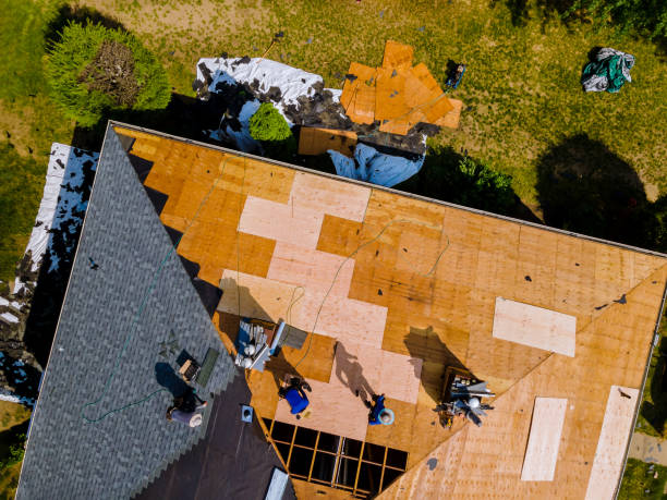 Best Roof Gutter Cleaning  in Independence, VA