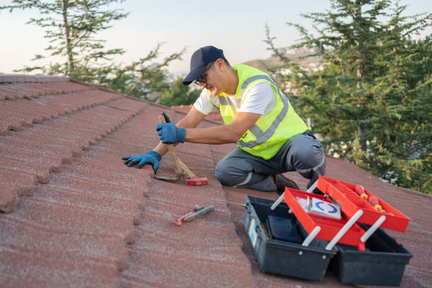 Best Roof Maintenance Services  in Independence, VA